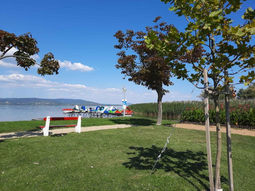 Holiday home in Balatonbereny 34653 photo 3