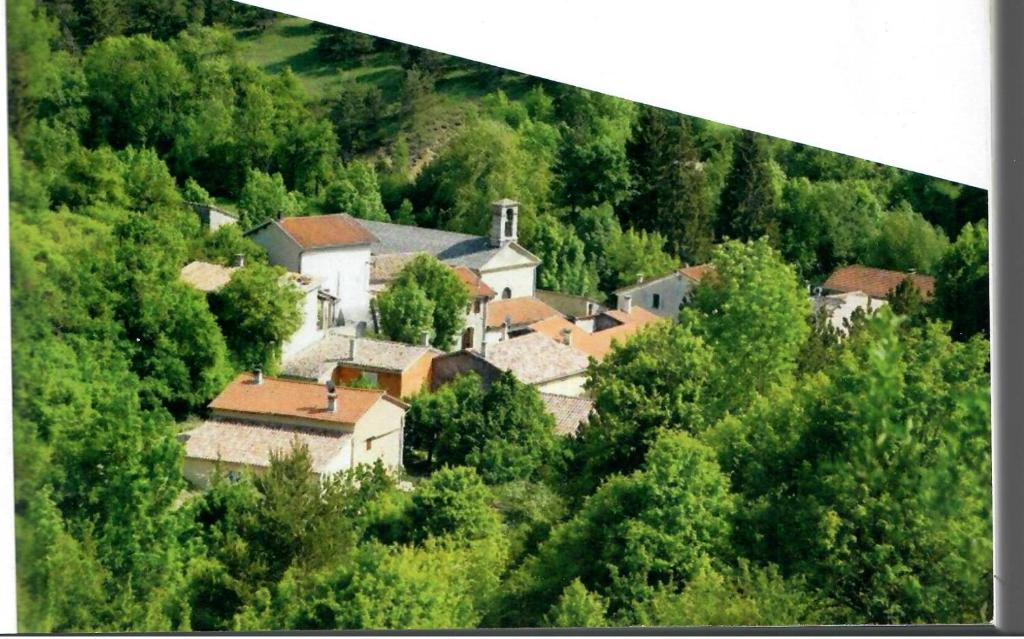 les lavandes photo 3