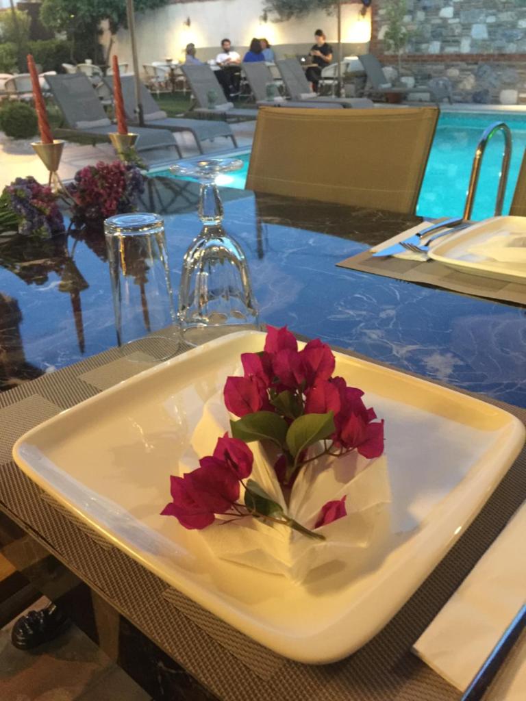 Livia Garden Hotel photo 1