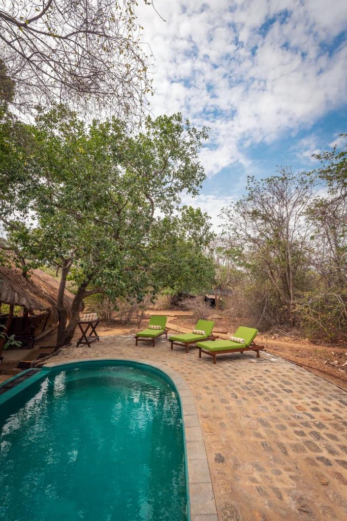 Leopard Safaris Yala photo 1