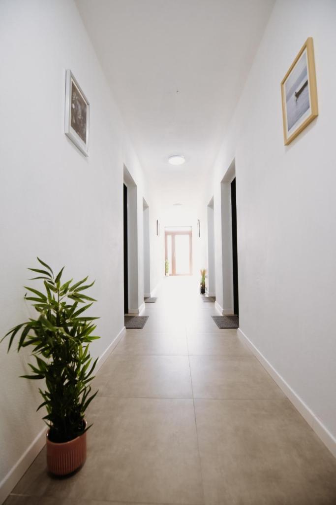 Suzanne Băile Figa- camere tip hotel photo 3