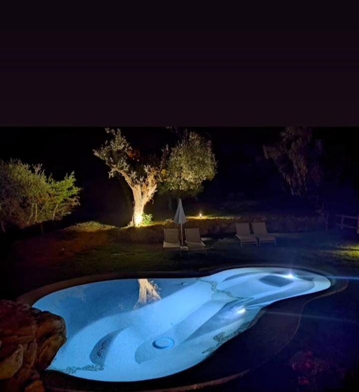 Carlo's Hotel photo 2