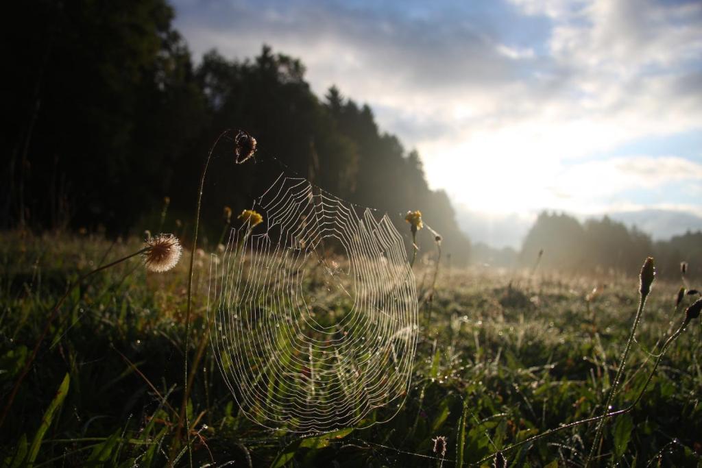 Penzion Dobík Pasečná photo 2