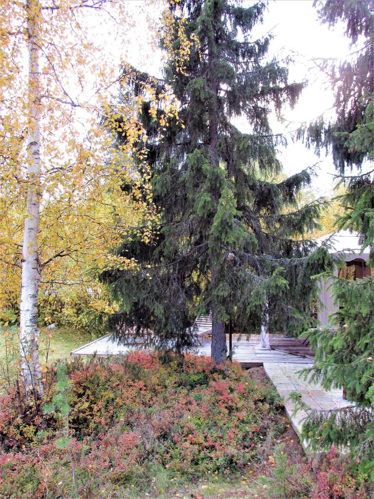 Scandinavian Dream Cottages Vikajarvi- Rovaniemi photo 3