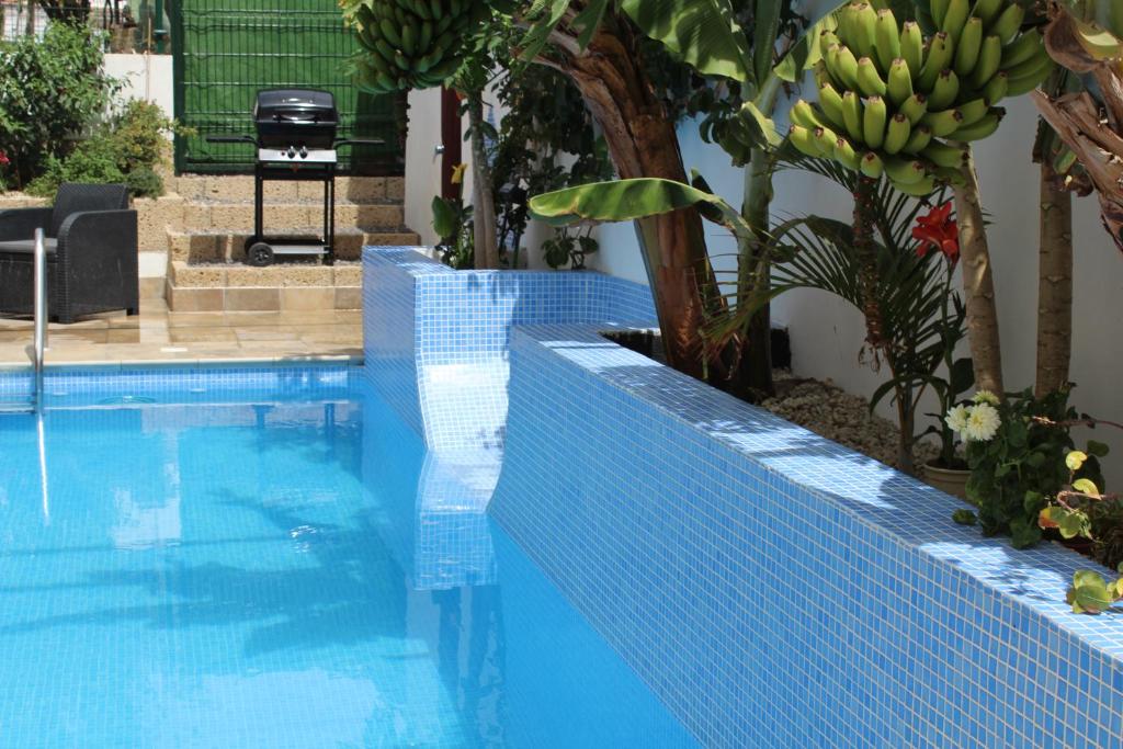 CASA EL OLIVO, TENERIFE photo 1