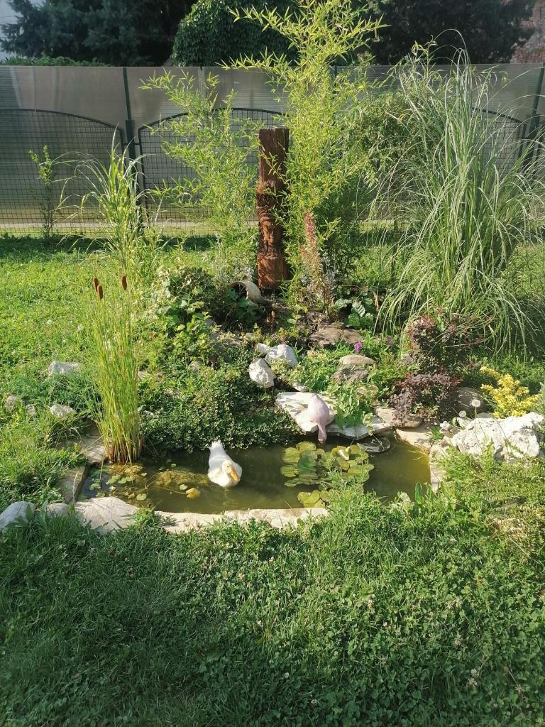 Apartman Garden House photo 3