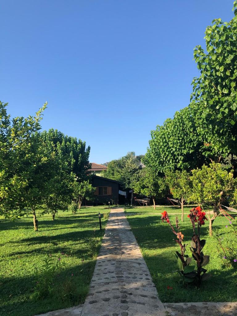 Ozge Bungalow Hotel photo 1