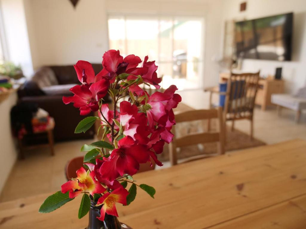 Oren's place - perfect for families & friend's photo 2
