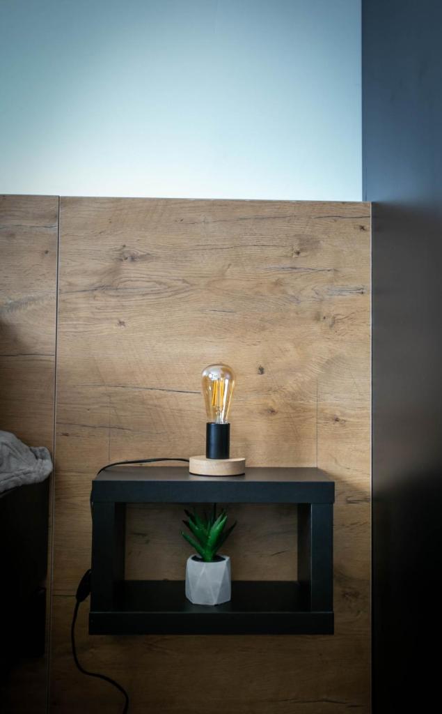 Apartman PAOLA photo 1
