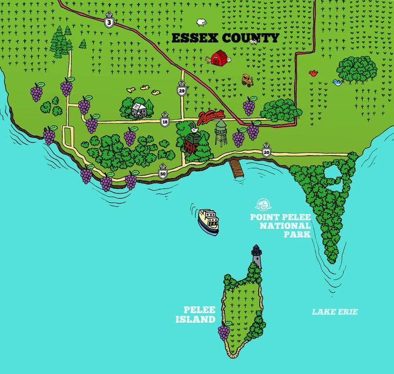 Cedar Island Xanadu photo 1