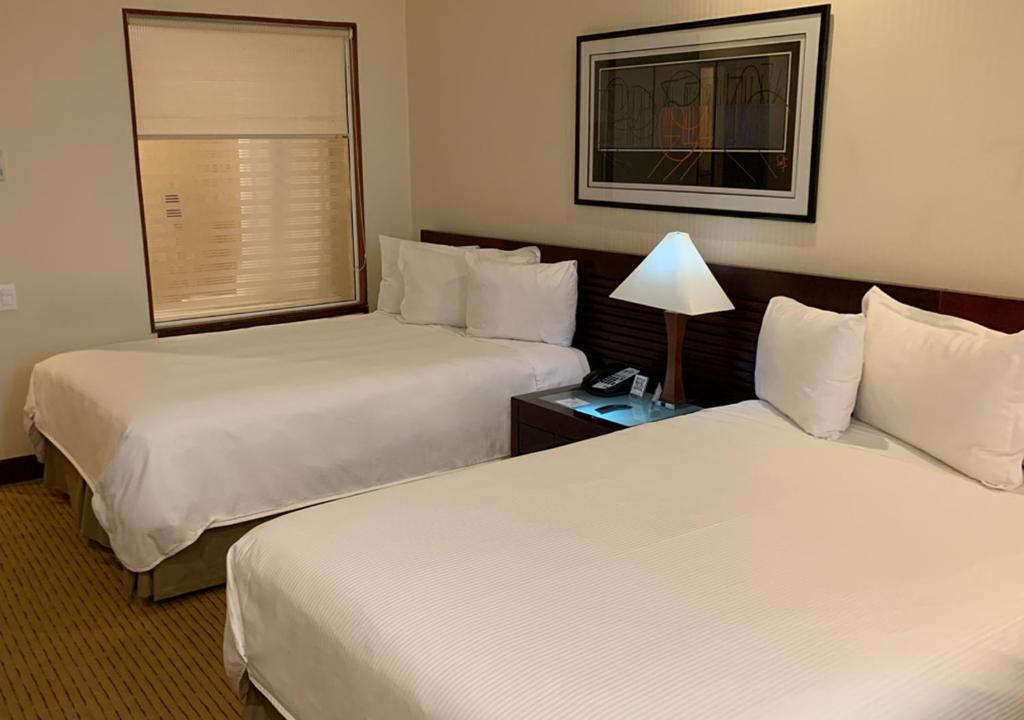 Eurobuilding Hotel & Suites Guayana photo 3
