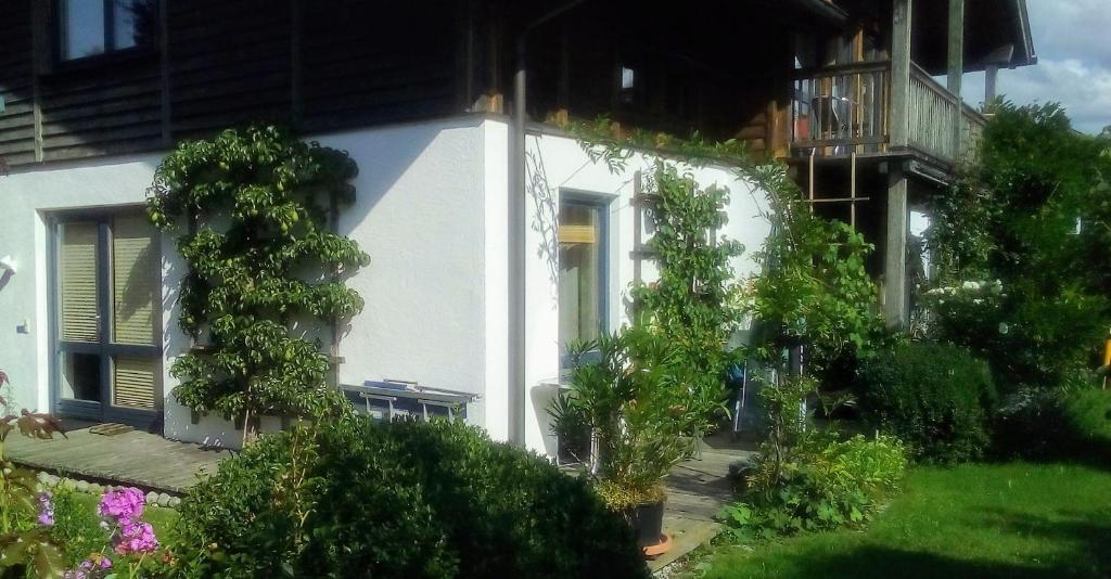 Ferienwohnung Riesinger photo 1