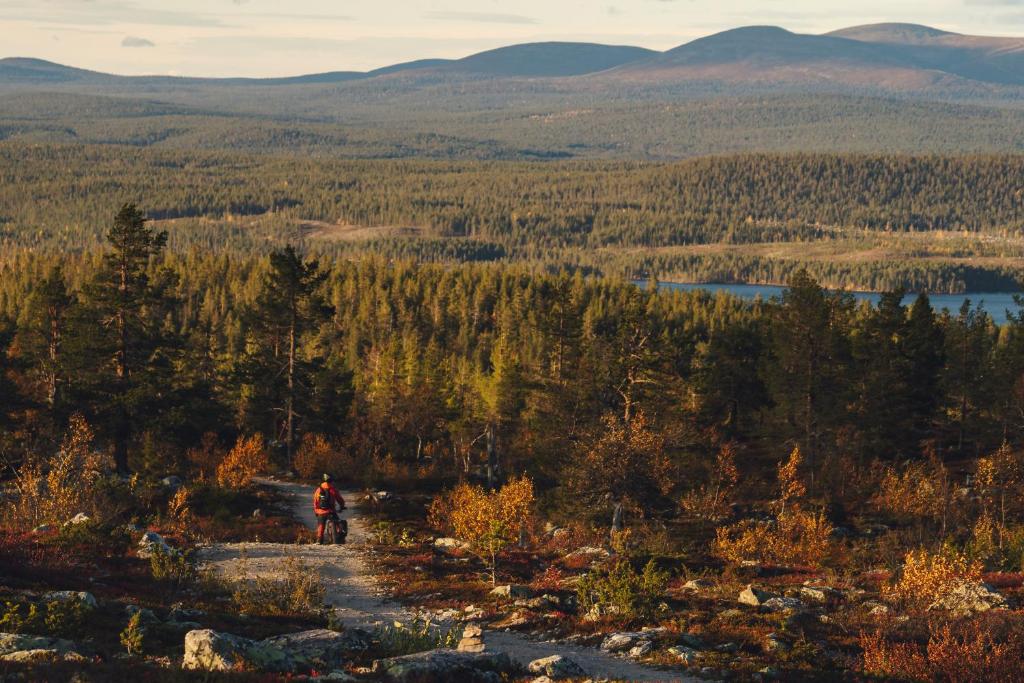 Lapland Dream Villas photo 4