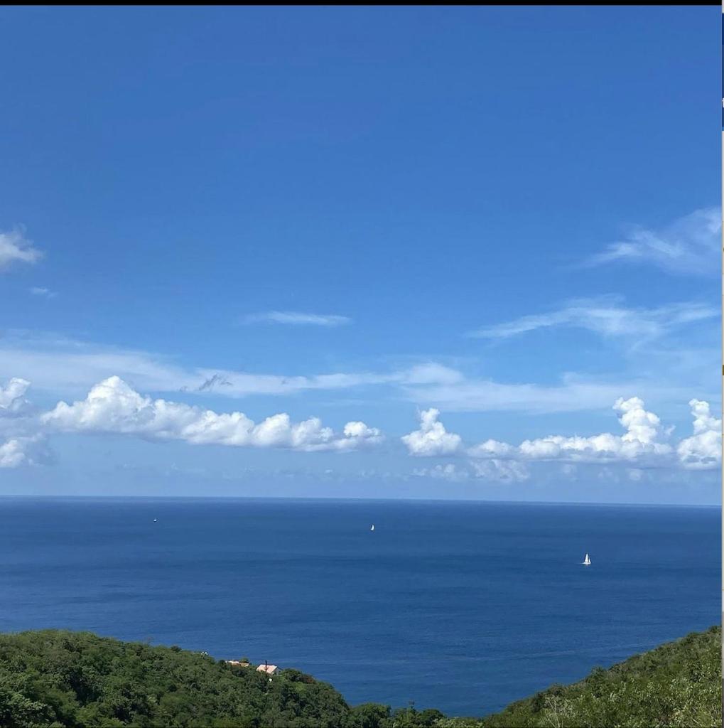 La Perle du Cap photo 1
