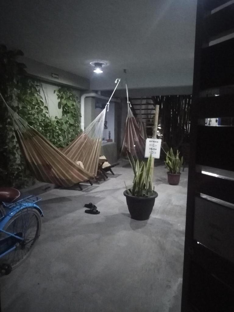 Hostal Jardin photo 2