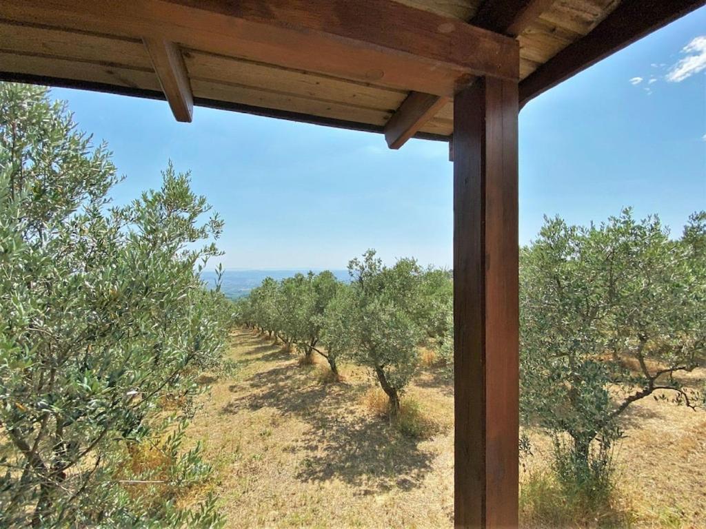Belvilla by OYO Casa Bianca 4 pax photo 3