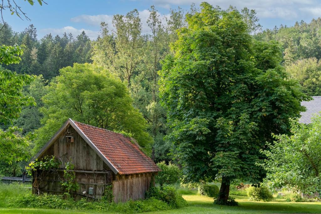 Ferienwohnungen Mittermurnthal photo 4