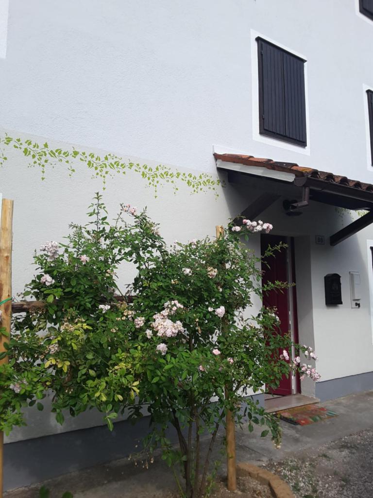 Le Giuggiole 5 posti letto in una casa ricca d'atmosfera photo 1
