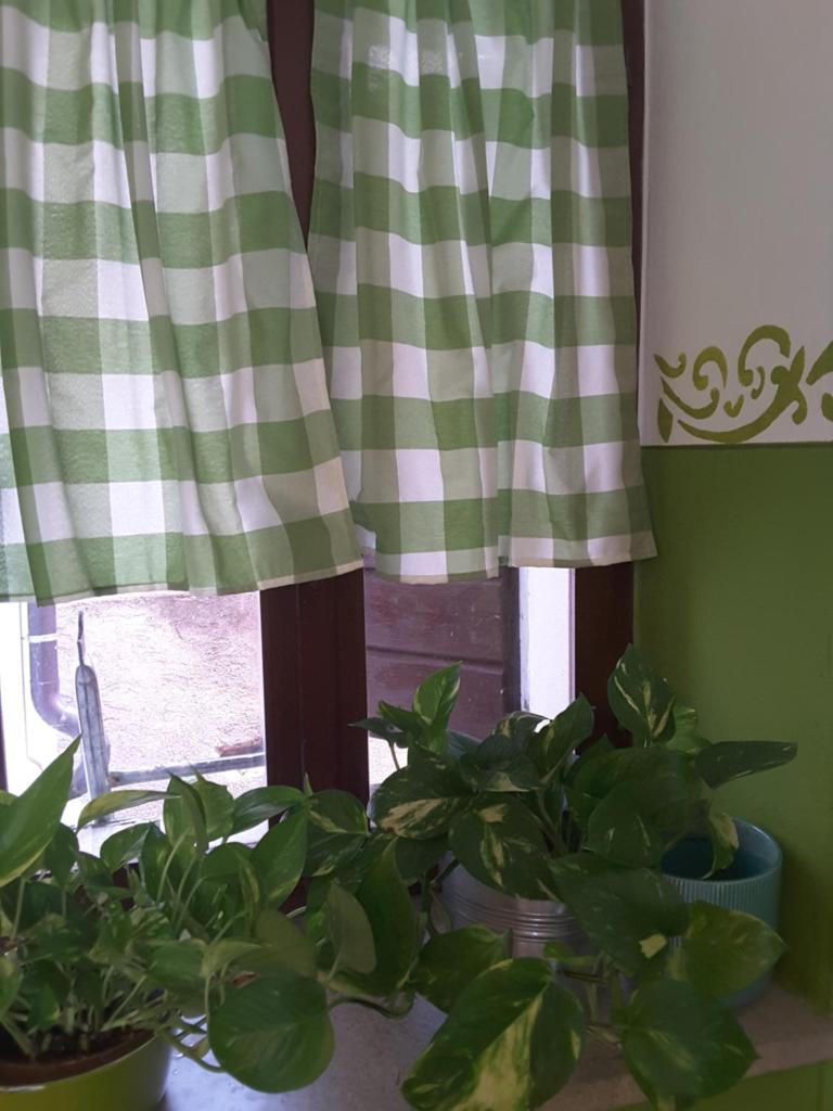 Le Giuggiole 5 posti letto in una casa ricca d'atmosfera photo 2