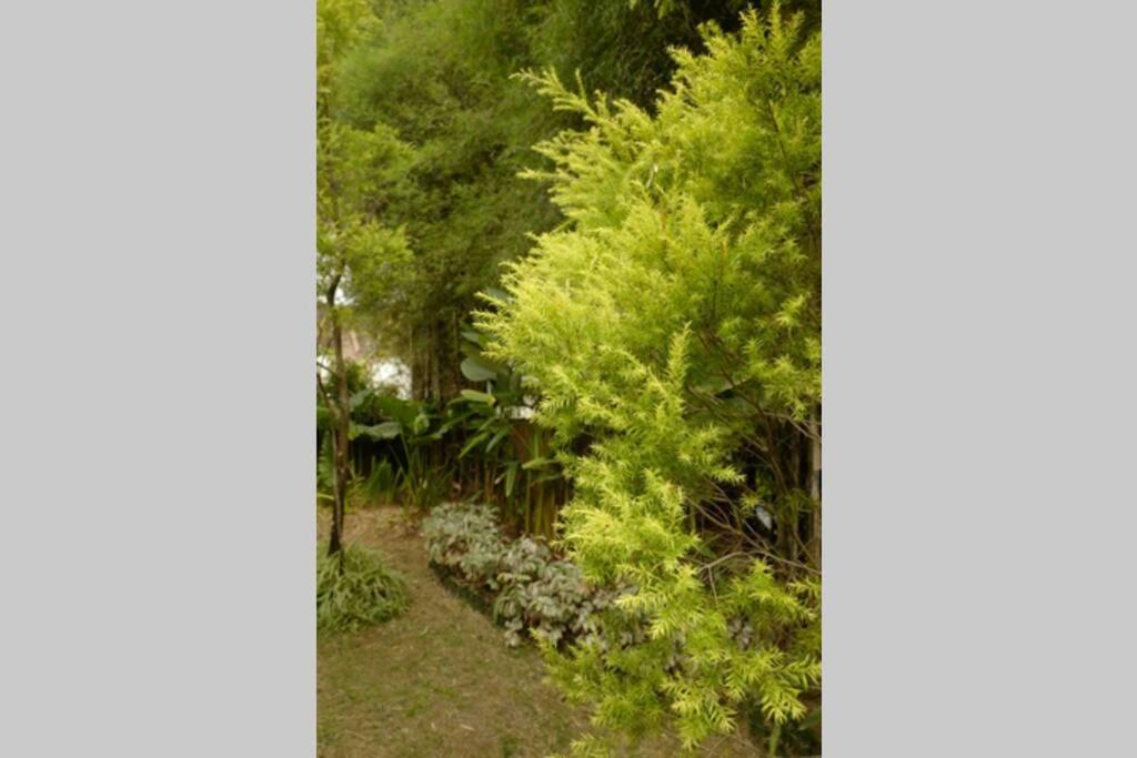 The Pines Vimala Hills photo 2