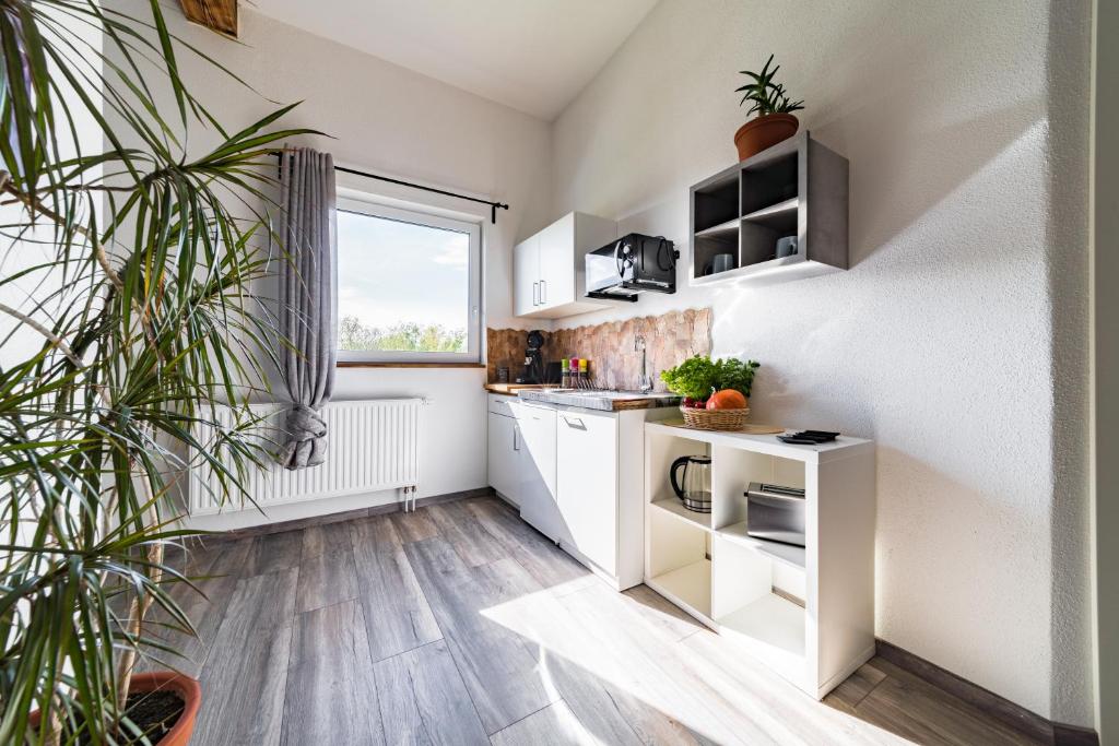 Apartment 4 an der Messe Friedrichshafen photo 1