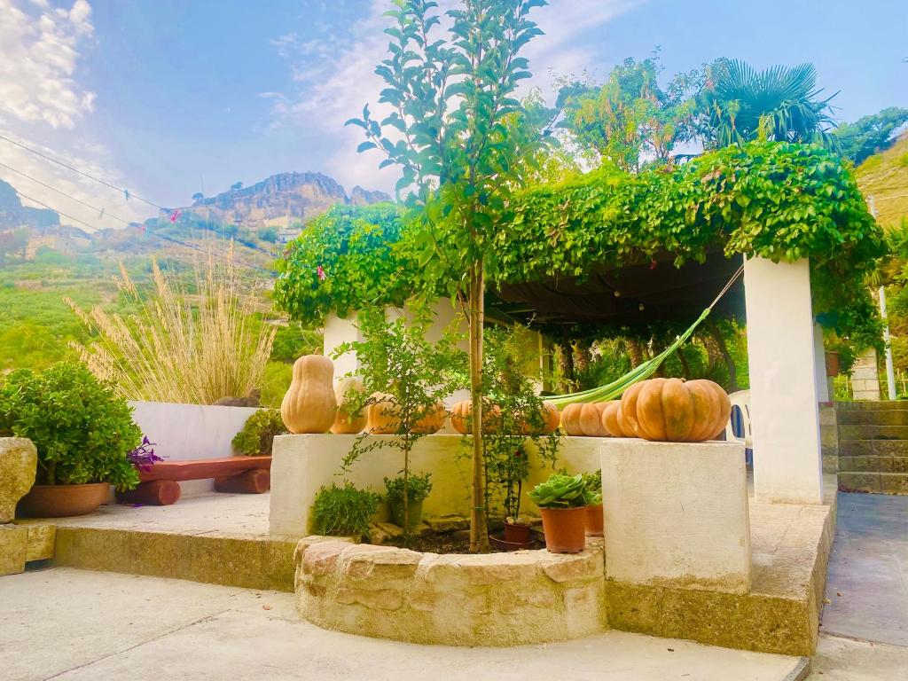 Casa Puccio B&B photo 4