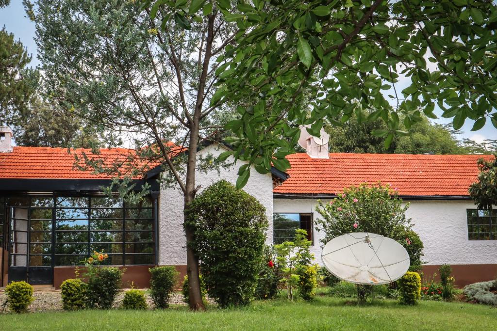 Eldopalm Guesthouse photo 4