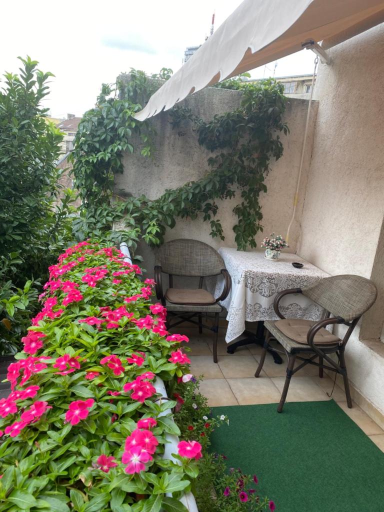 Двухместный (Двухместный номер с 1 кроватью и террасой), Apartments Skadarlija