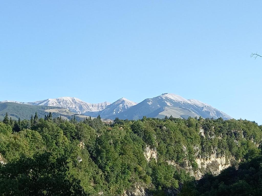 La casa dalle finestre blu photo 4