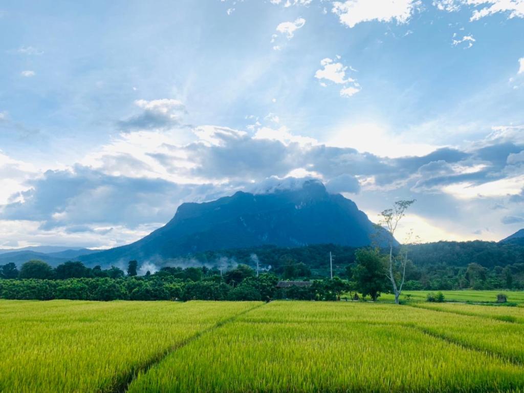 KraThom Doi Luang photo 2