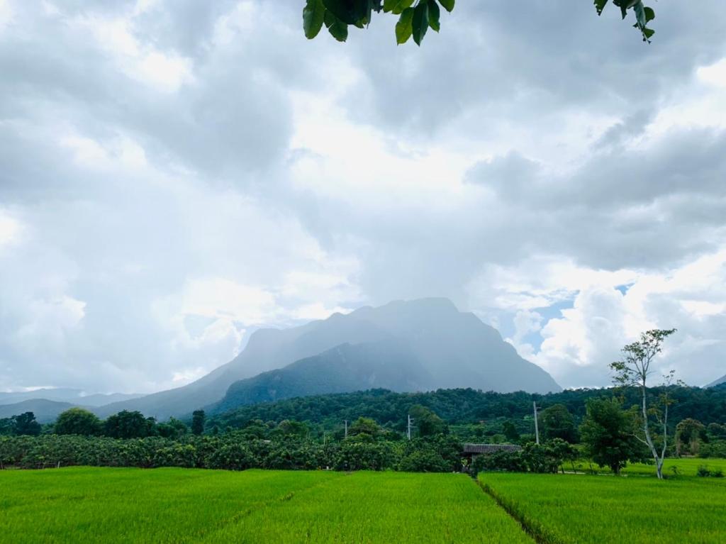 KraThom Doi Luang photo 3