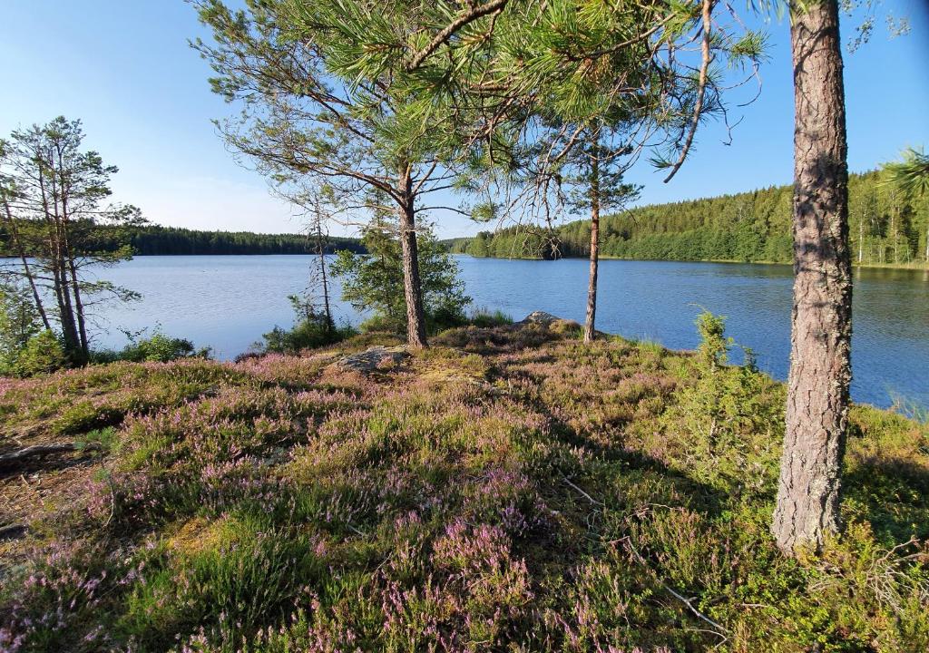 Lövåsängen photo 3