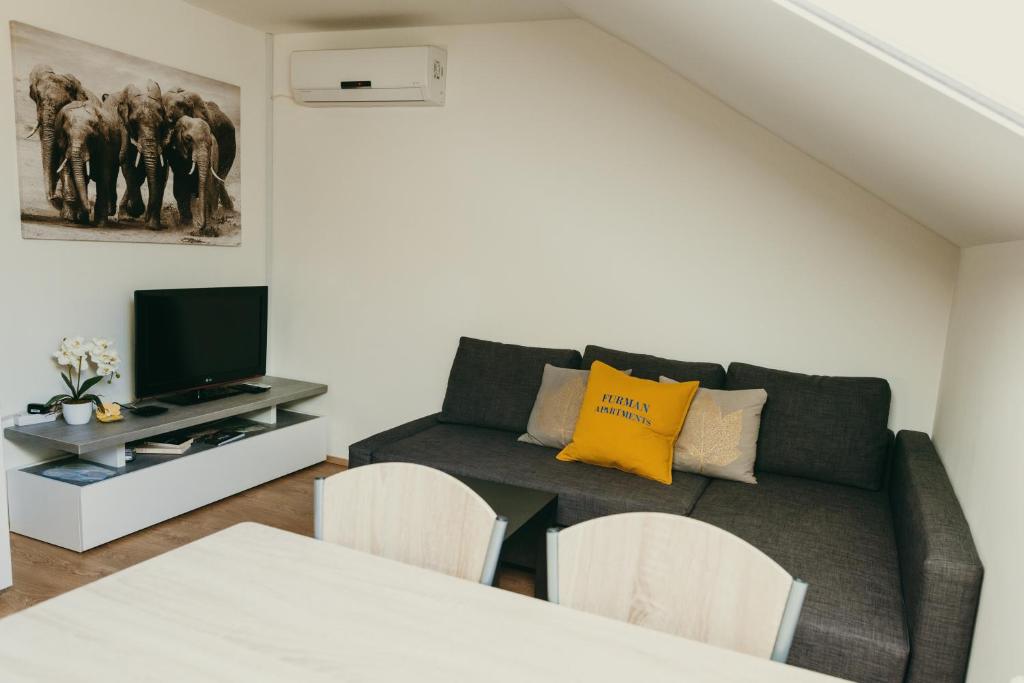 Furman Apartments Slovenja vas photo 4
