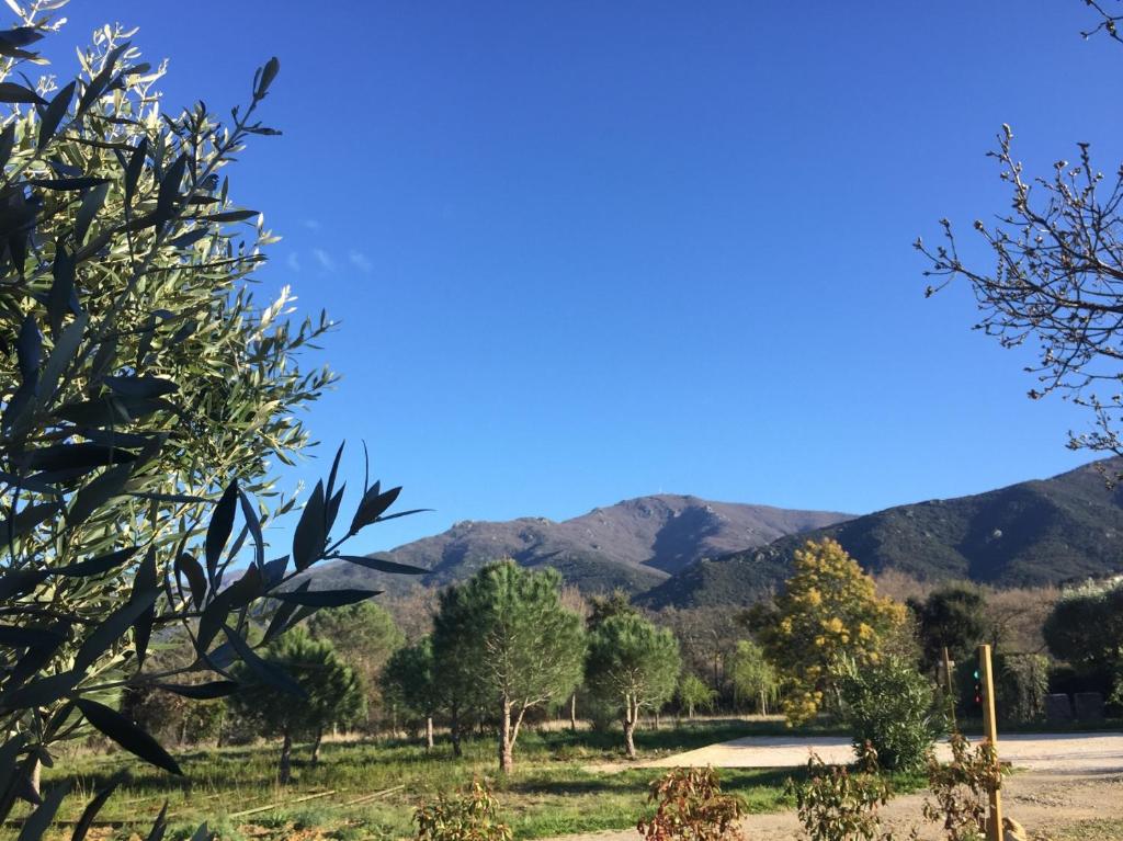 Domaine Pedra Llampada Gîtes Montagne photo 1