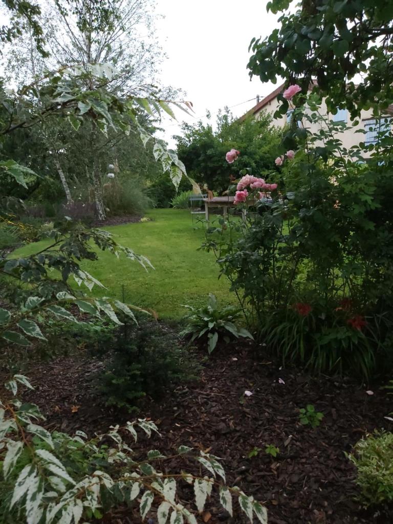 Gite du jardin du Bout du Ciel photo 4