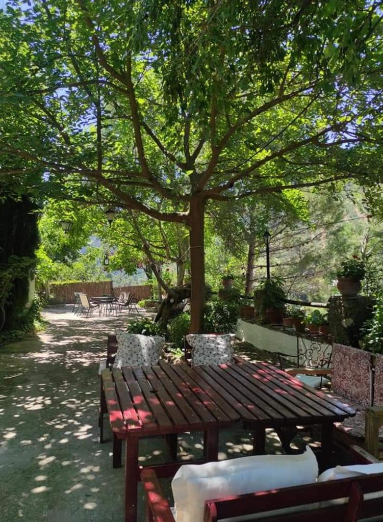 5 bedrooms villa with private pool enclosed garden and wifi at Sorihuela del Guadalimar photo 3