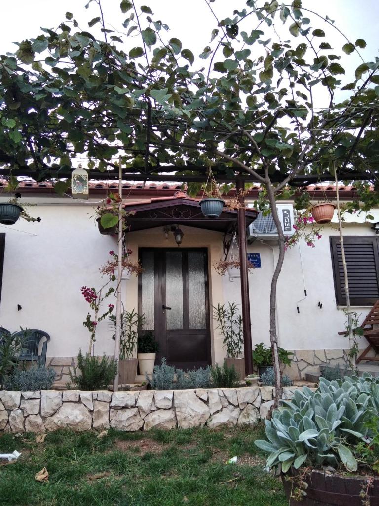 Apartman Manuela photo 3