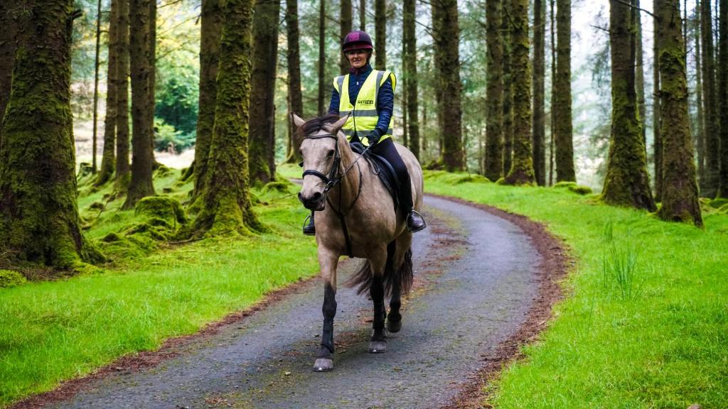 Forester's Retreat Glamping - Cambrian Mountains - Tap to explore photos
