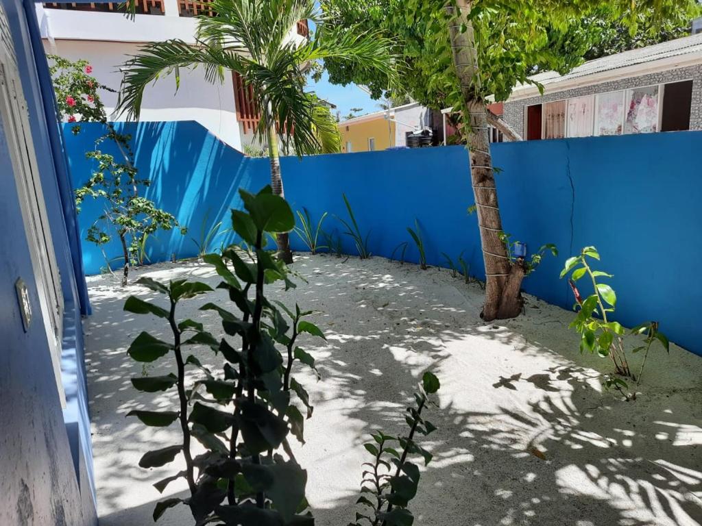 Royal Beach Dhigurah photo 2