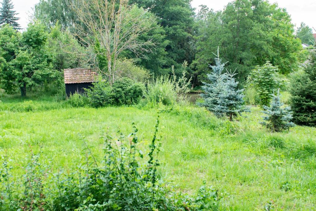 Ferienwohnung auf ehemaligen Bauernhof in der Nähe von Bamberg photo 3