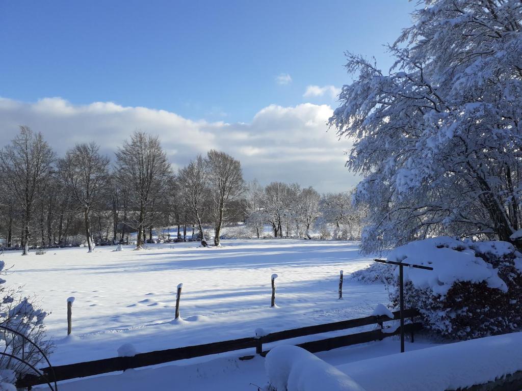 Ferienhaus Wiesenblick photo 3