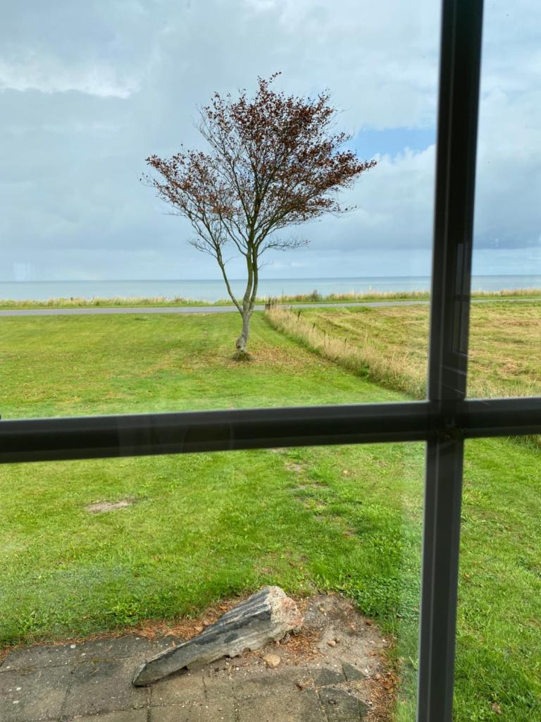 Djursland Lystrup Strand photo 2