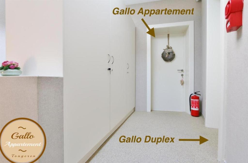 Gallo Appartement & Duplex Tongeren centrum photo 3