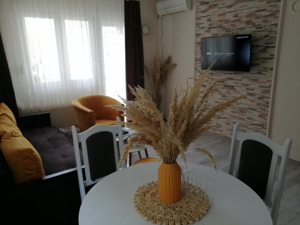 Apartman Ži-Zo photo 1