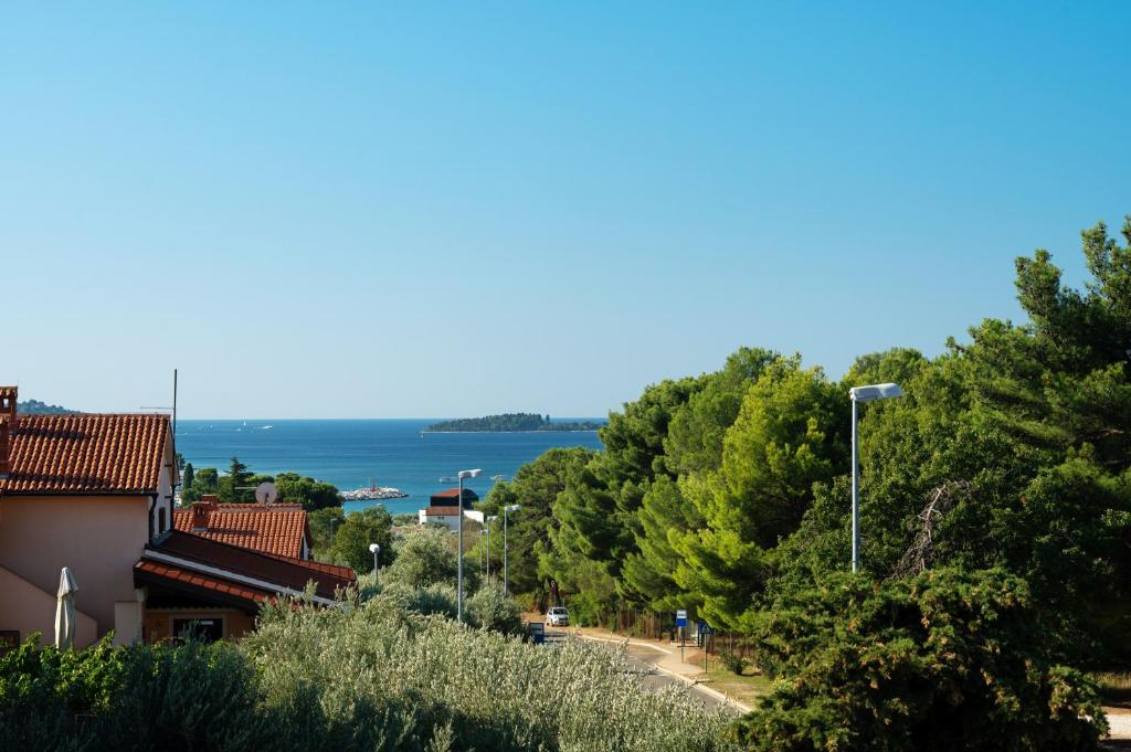 Apartments Irena with sea view photo 3