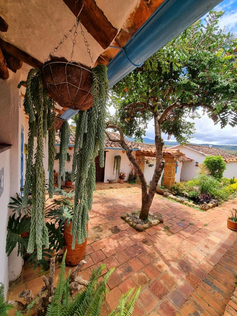 Casa Raisol photo 2