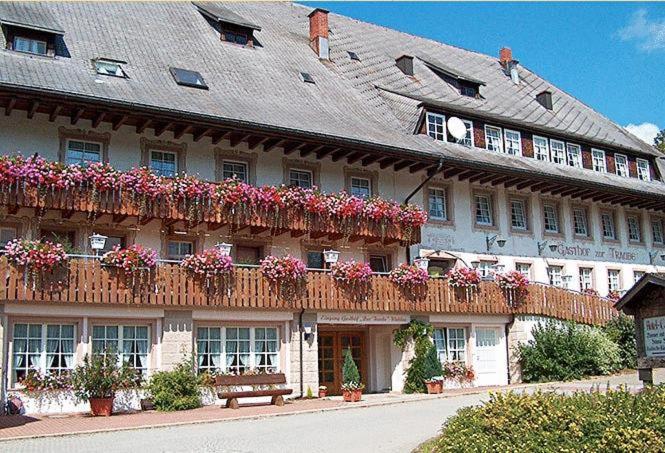 ZUR TRAUBE Schwarzwaldhotel & Restaurant am Titisee photo 2