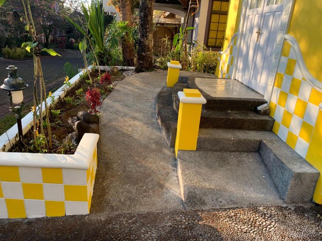 Villa Wubao Kota Bunga 3 Kamar Harga Budget photo 1