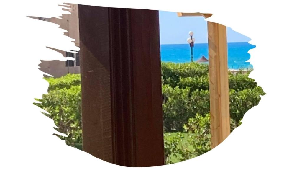Location Maison en bord de mer, Nord Egypte photo 3