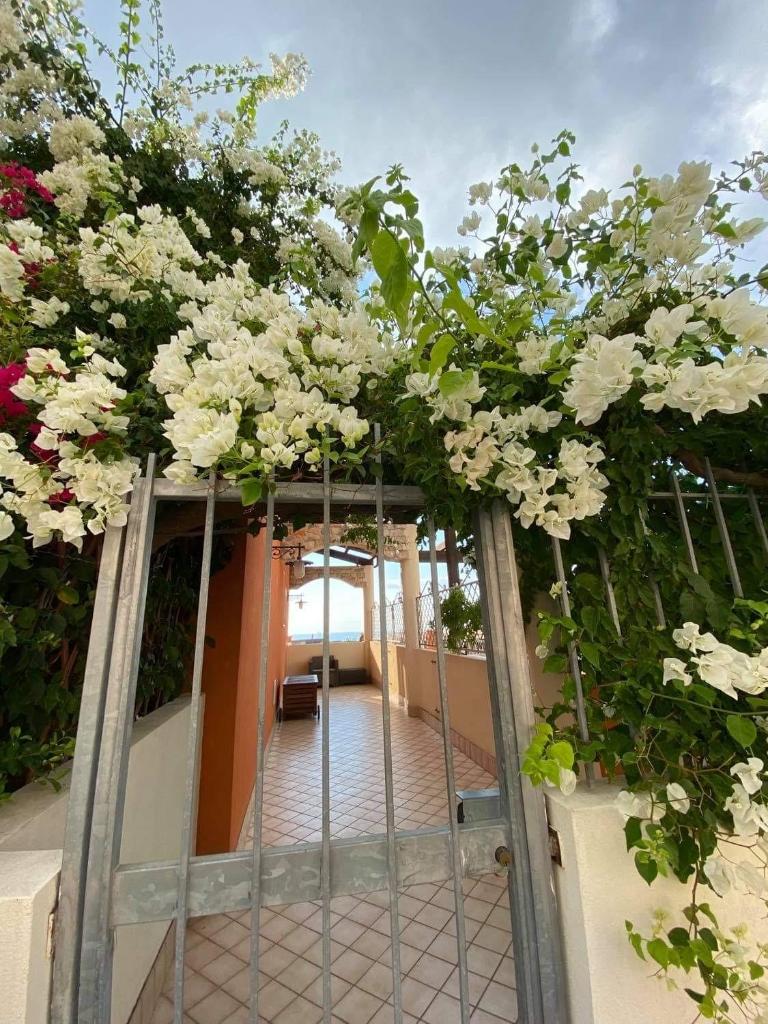 casa norvegese photo 2